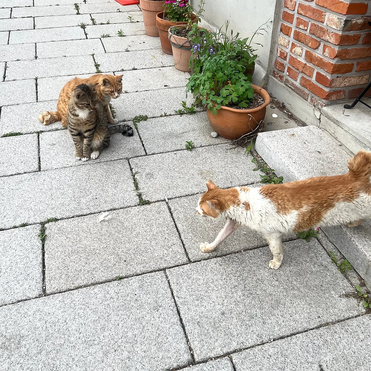 IMG%EF%BC%BF4233.jpg?type=w1600