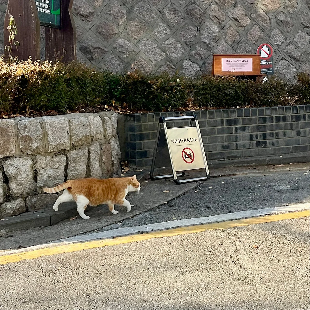 IMG%EF%BC%BF8961.jpg?type=w1600