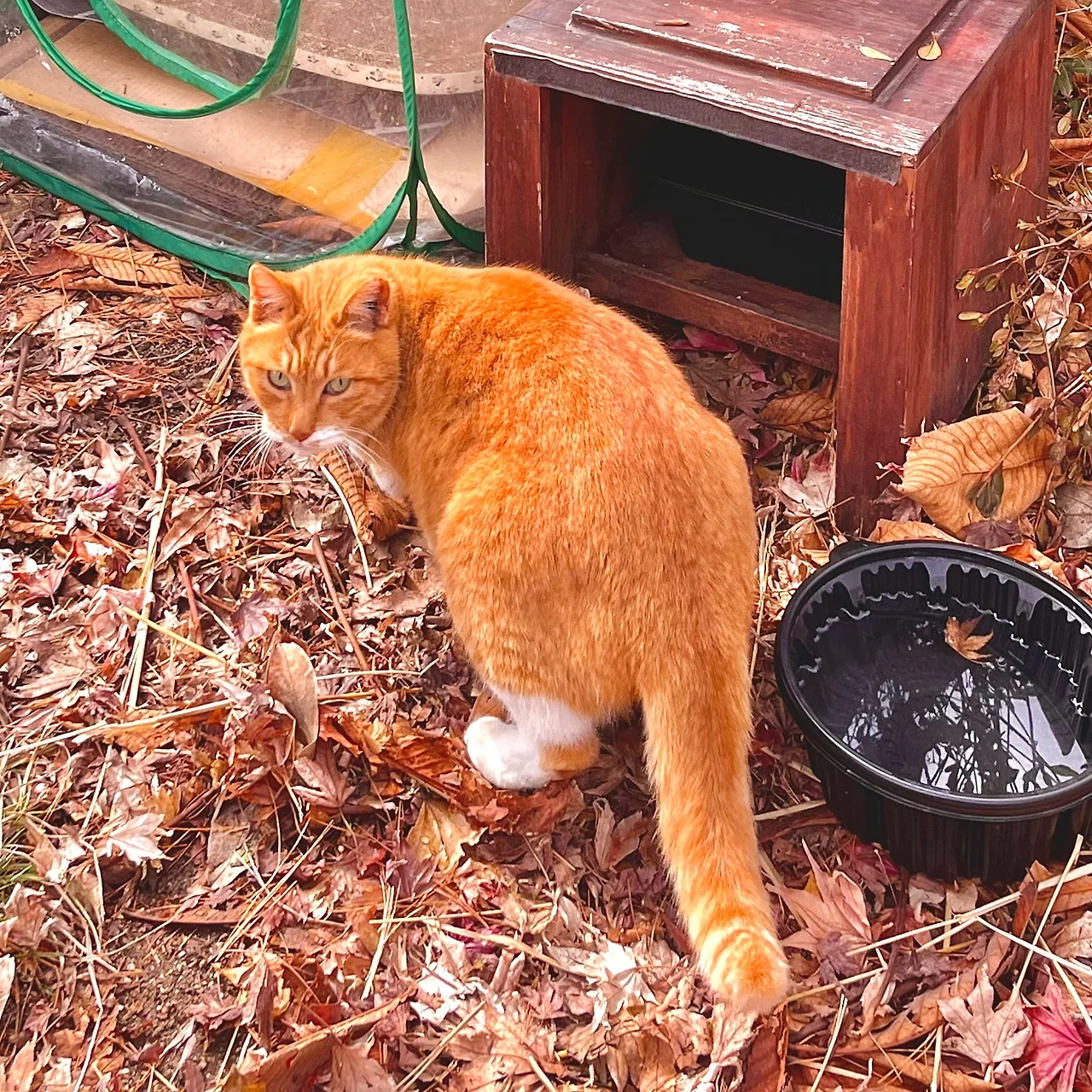 IMG%EF%BC%BF9919.jpg?type=w1600