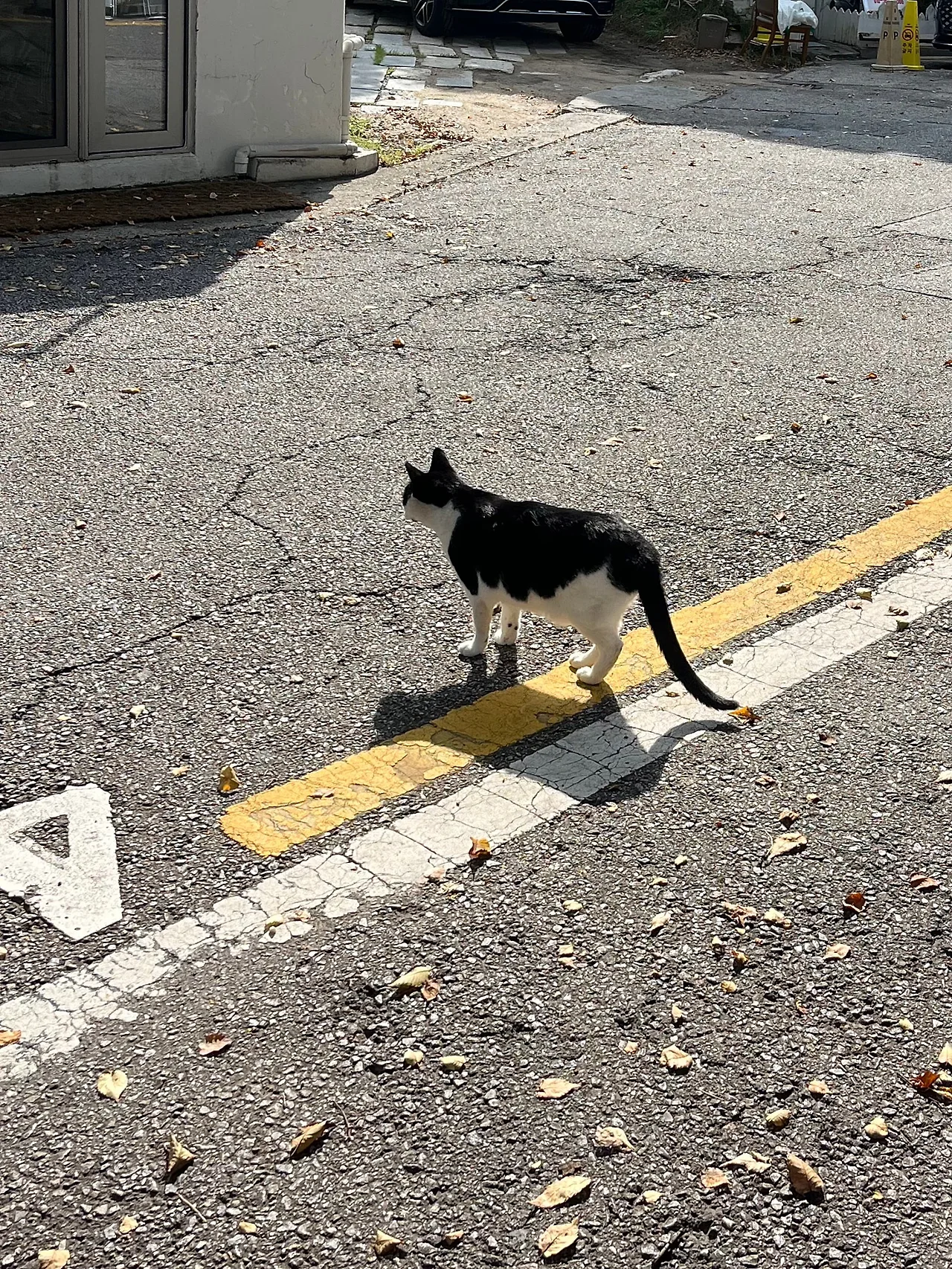 IMG%EF%BC%BF2264.jpg?type=w1600