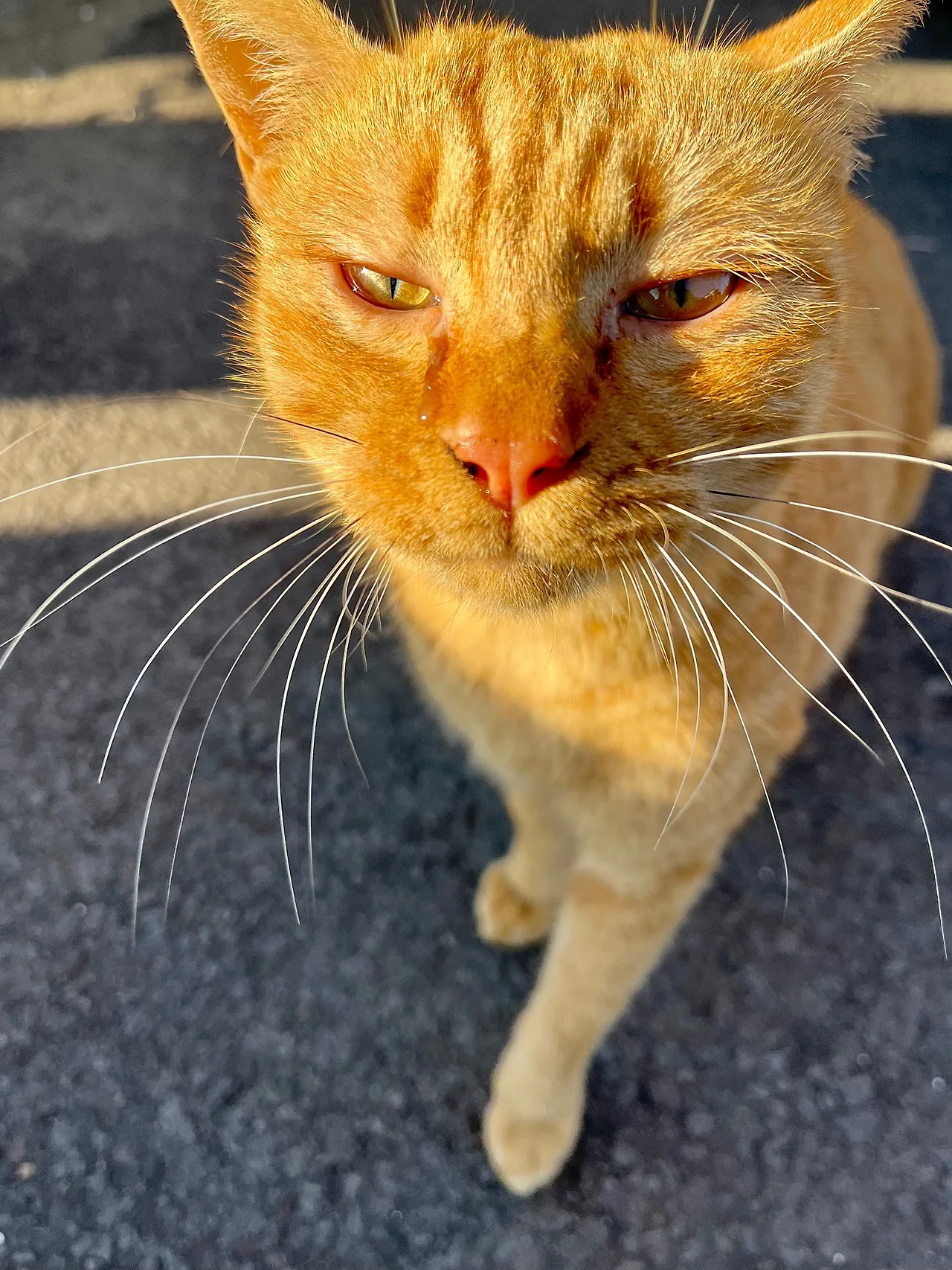 IMG%EF%BC%BF0448.jpg?type=w1600