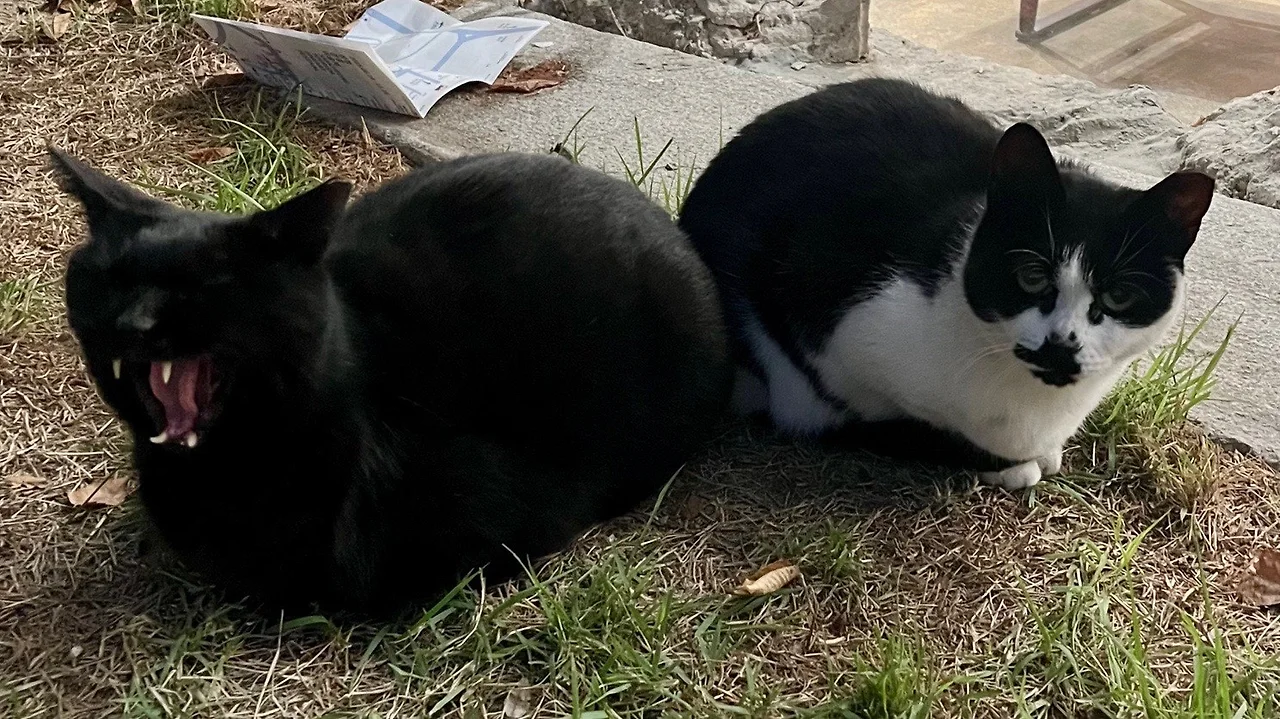 output%EF%BC%BF1990149990.jpg?type=w1600