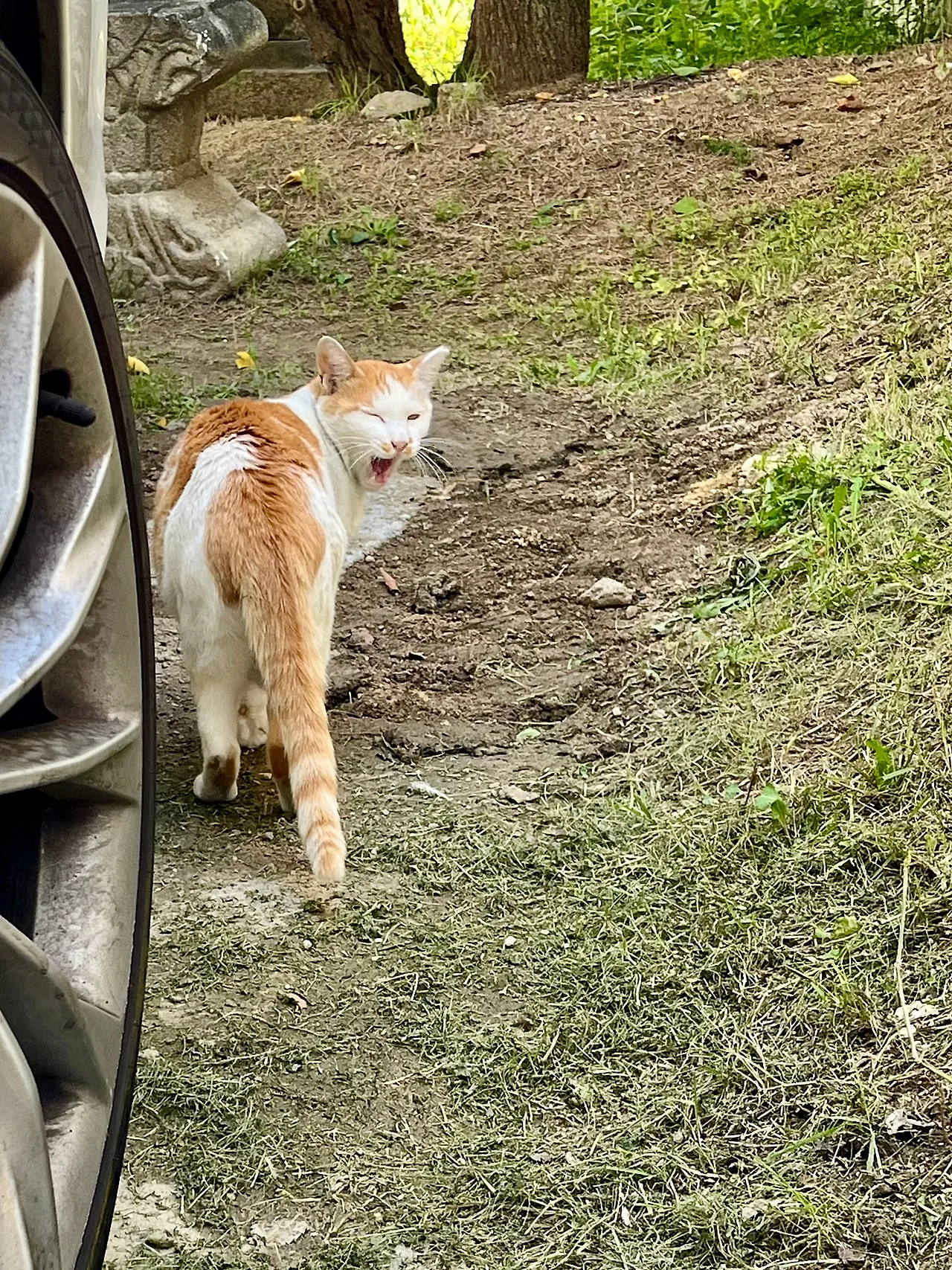 IMG%EF%BC%BF1212.jpg?type=w1600