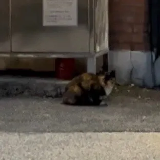 IMG%EF%BC%BF3537.jpg?type=w1600