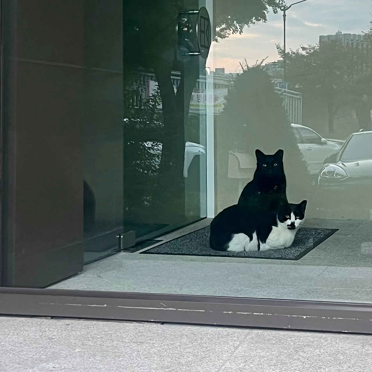 IMG%EF%BC%BF3460.jpg?type=w1600