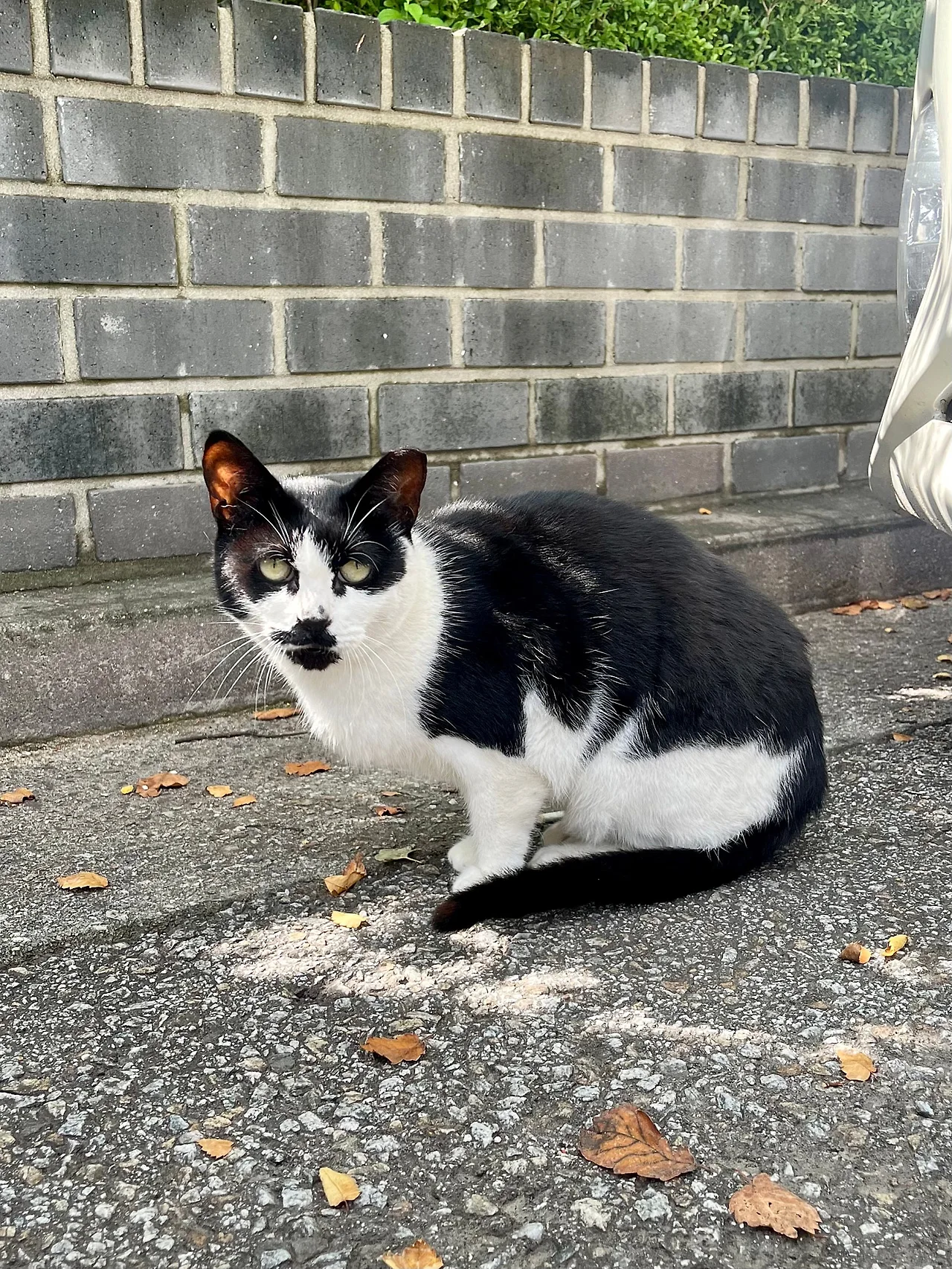 IMG%EF%BC%BF2319.jpg?type=w1600