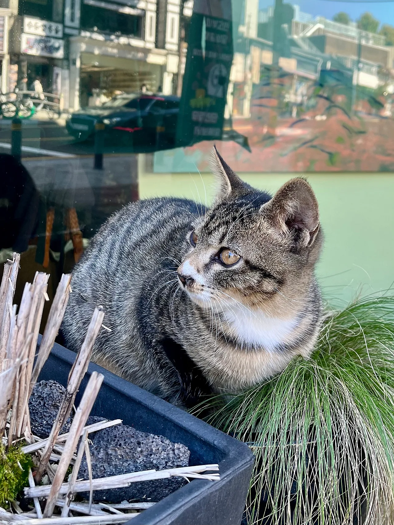 IMG%EF%BC%BF4471.jpg?type=w1600