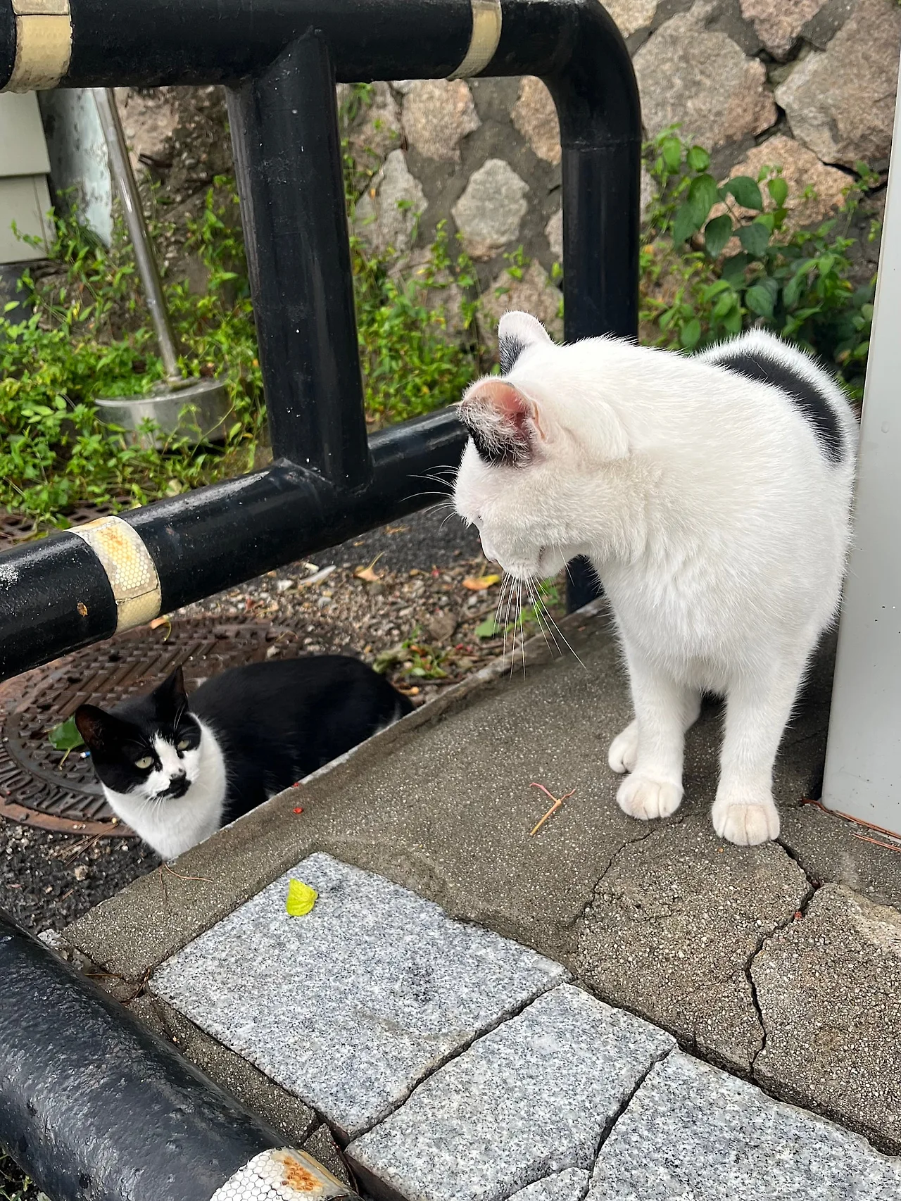 IMG%EF%BC%BF1641.jpg?type=w1600