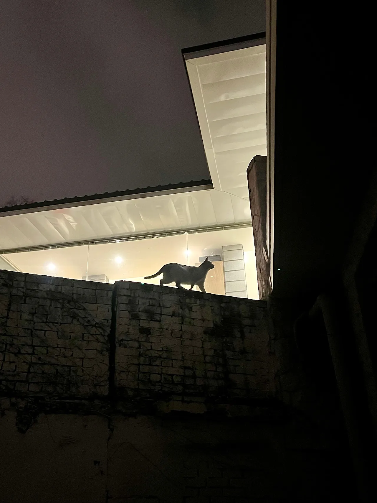 IMG%EF%BC%BF9049.jpg?type=w1600