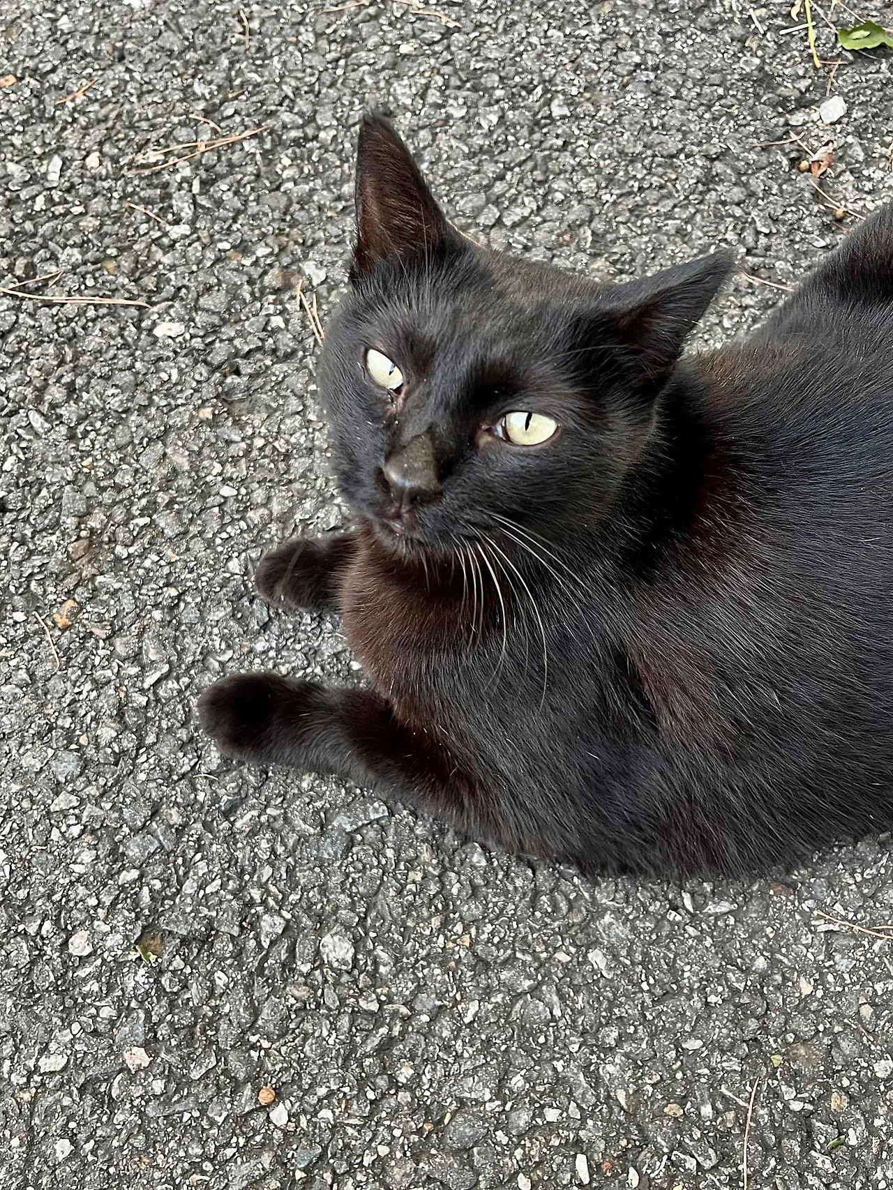 IMG%EF%BC%BF1559.jpg?type=w1600