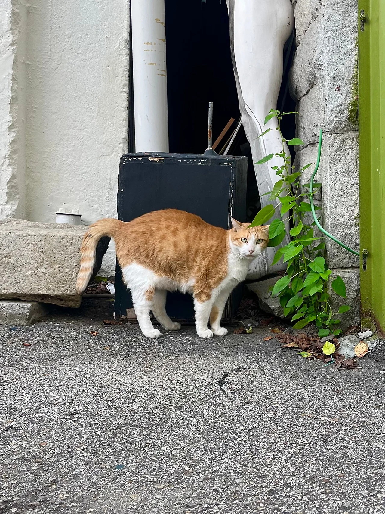 IMG%EF%BC%BF0048.jpg?type=w1600