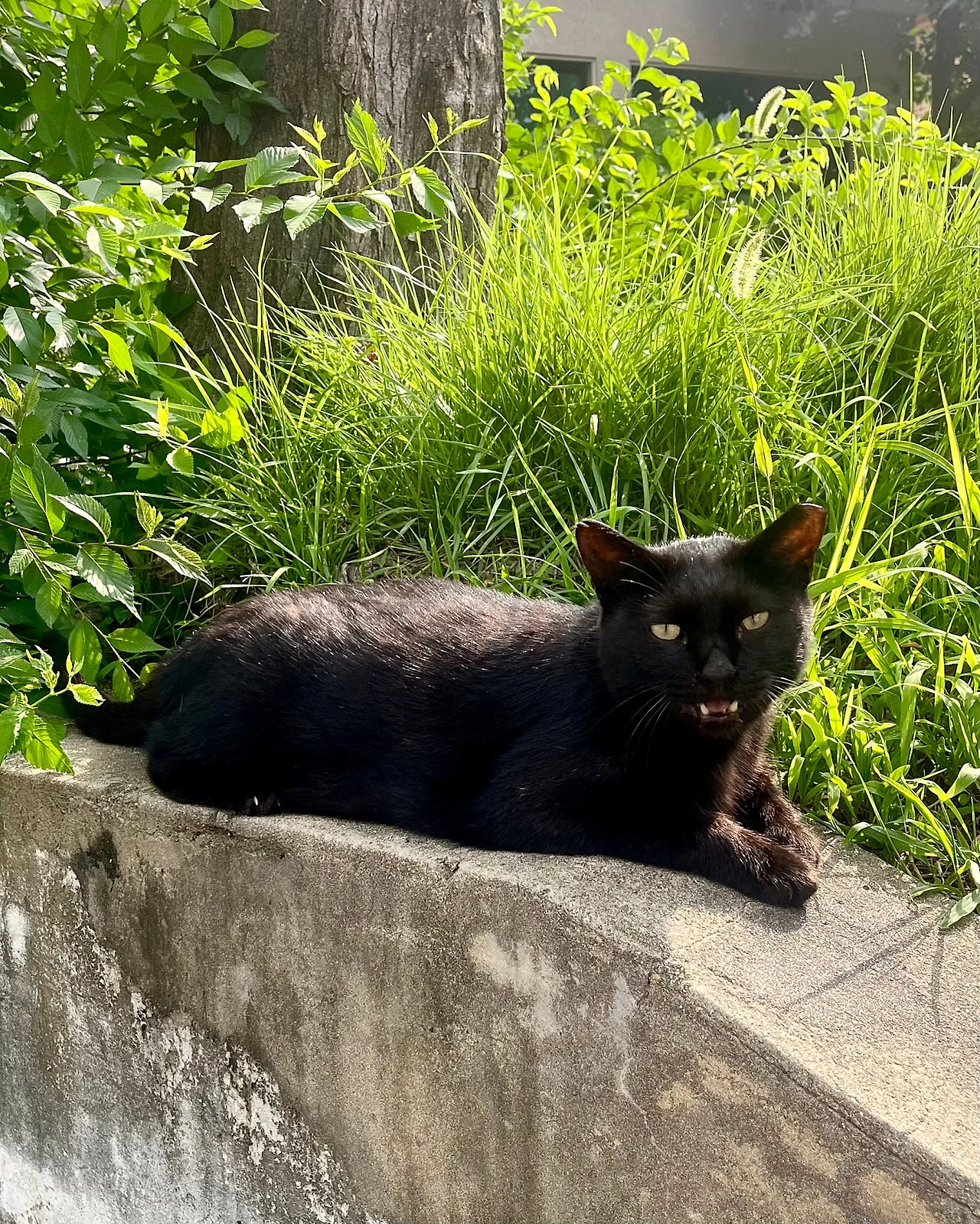 IMG%EF%BC%BF7775.jpg?type=w1600