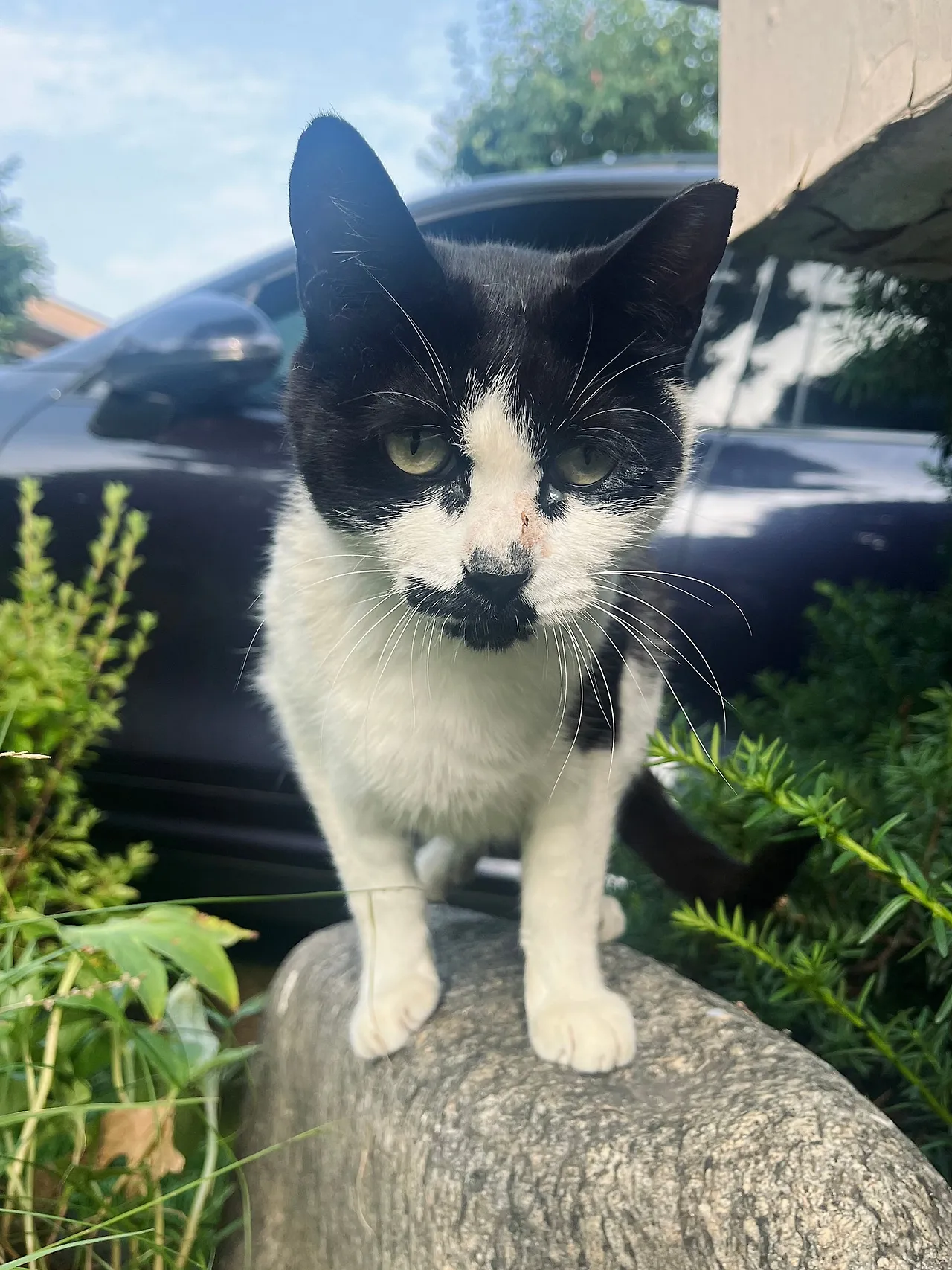 IMG%EF%BC%BF6968.jpg?type=w1600