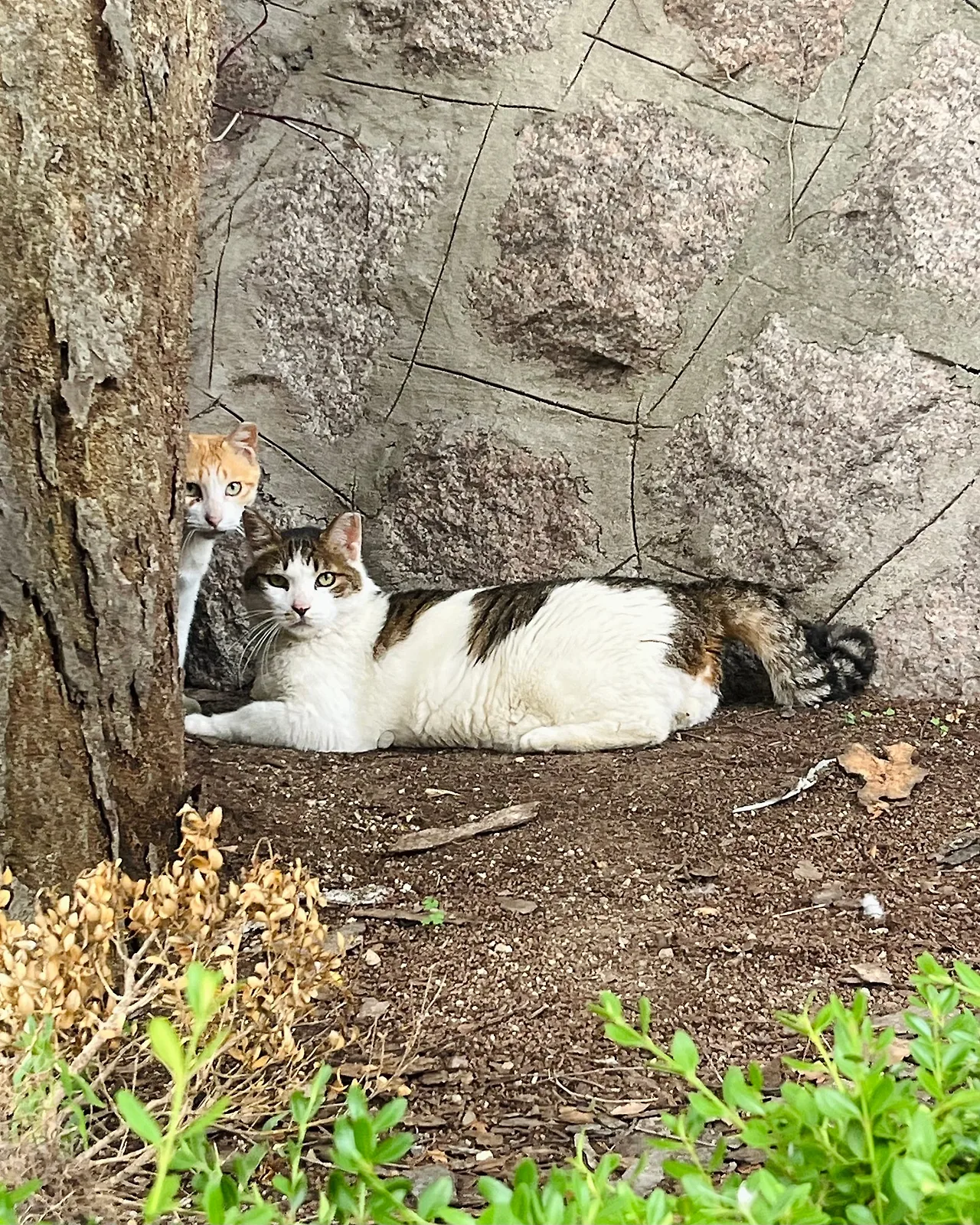 IMG%EF%BC%BF7107.jpg?type=w1600