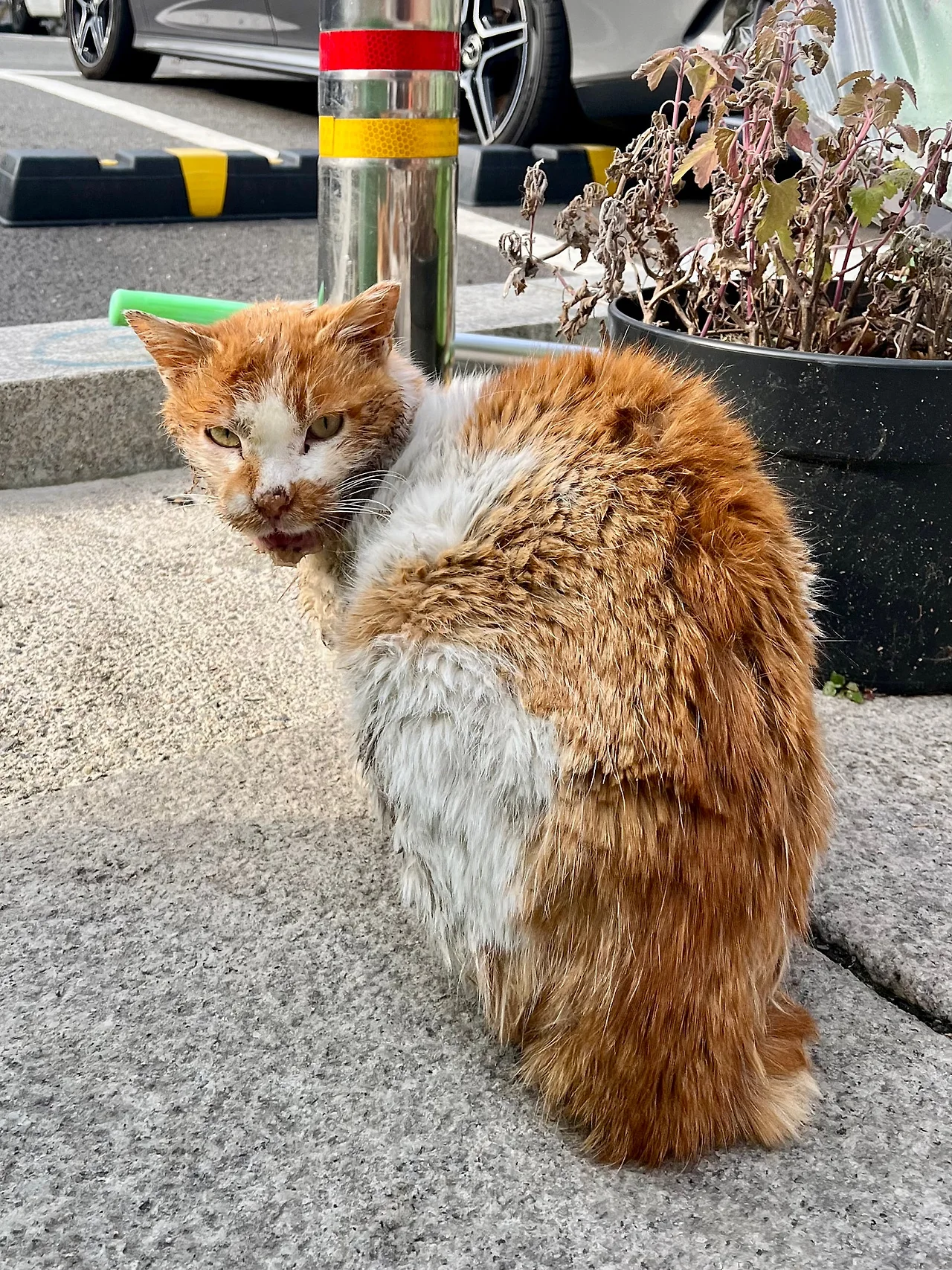 IMG%EF%BC%BF9200.jpg?type=w1600