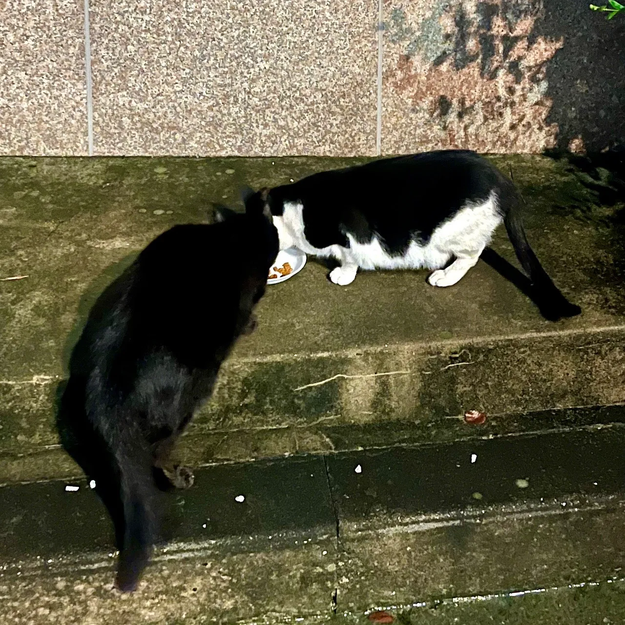 output%EF%BC%BF2414584310.jpg?type=w1600