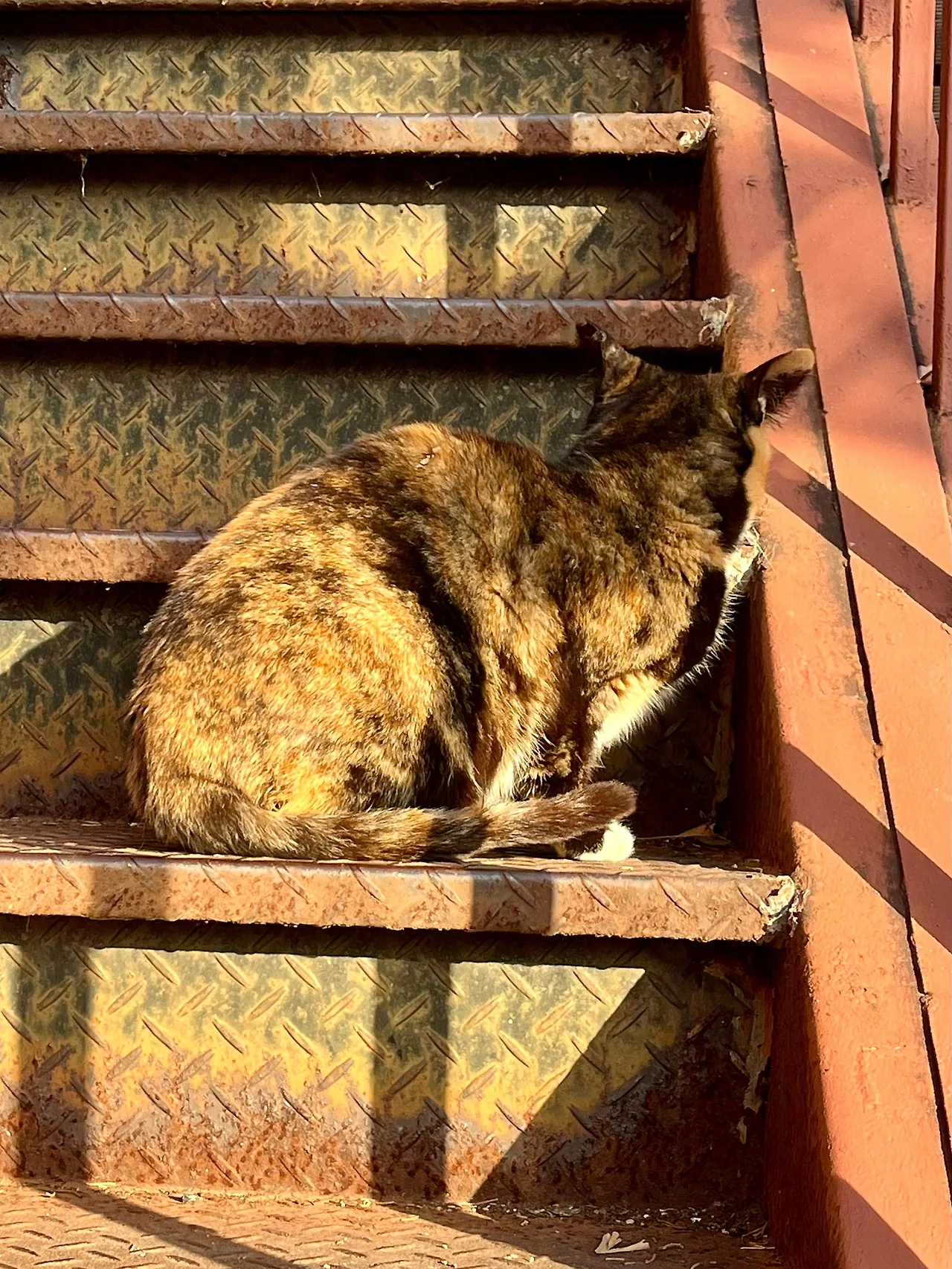 IMG%EF%BC%BF0932.jpg?type=w1600