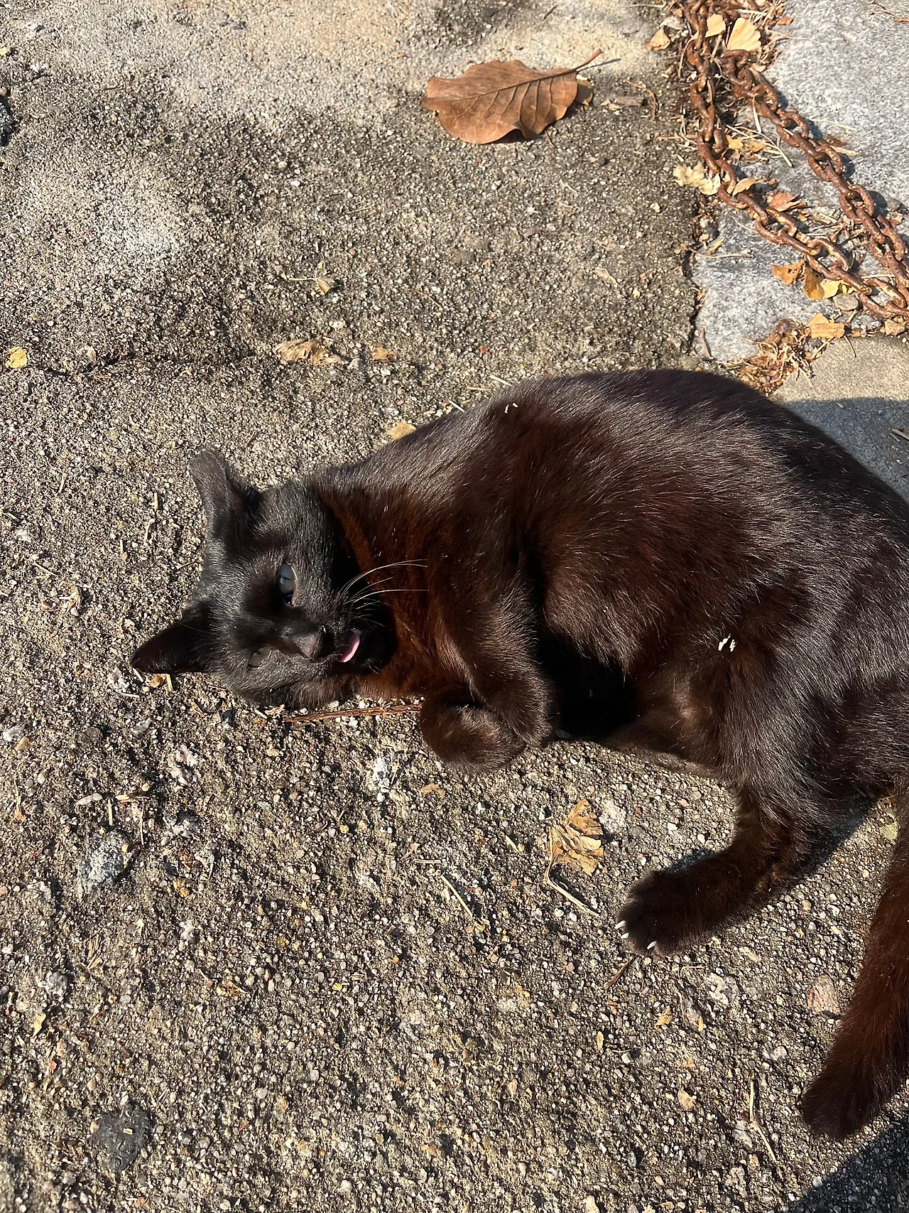 IMG%EF%BC%BF9092.jpg?type=w1600