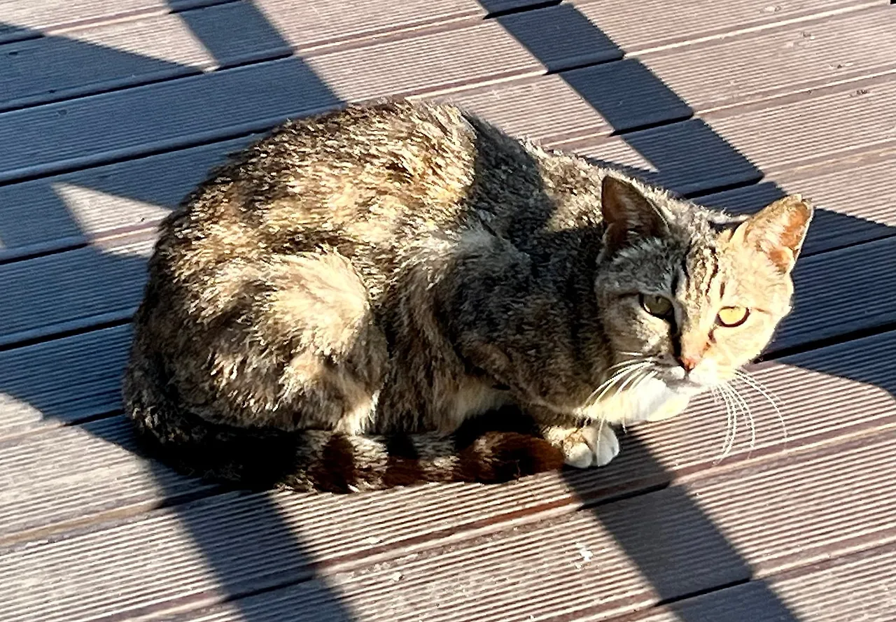 IMG%EF%BC%BF7009.jpg?type=w1600