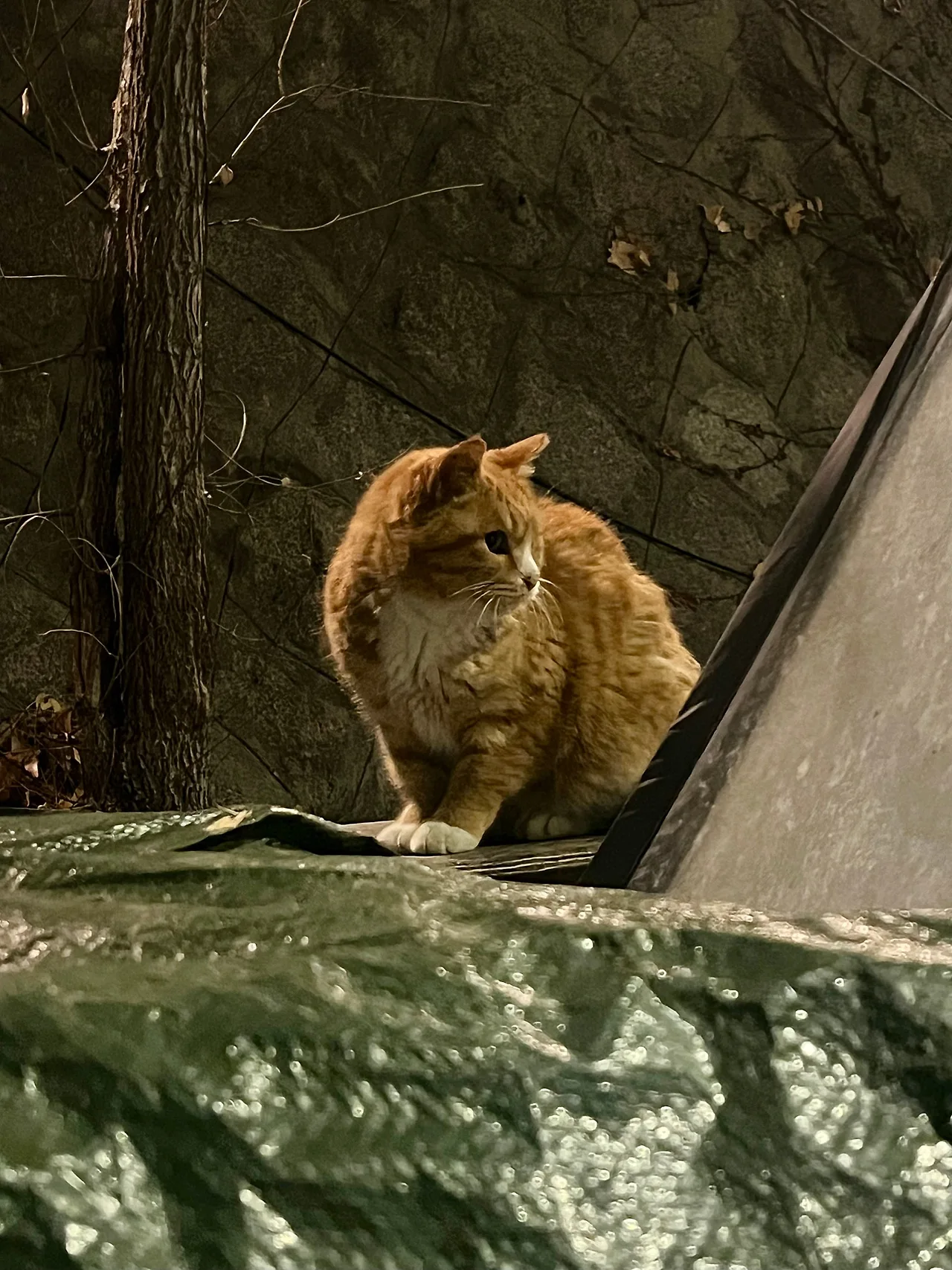 IMG%EF%BC%BF9750.jpg?type=w1600