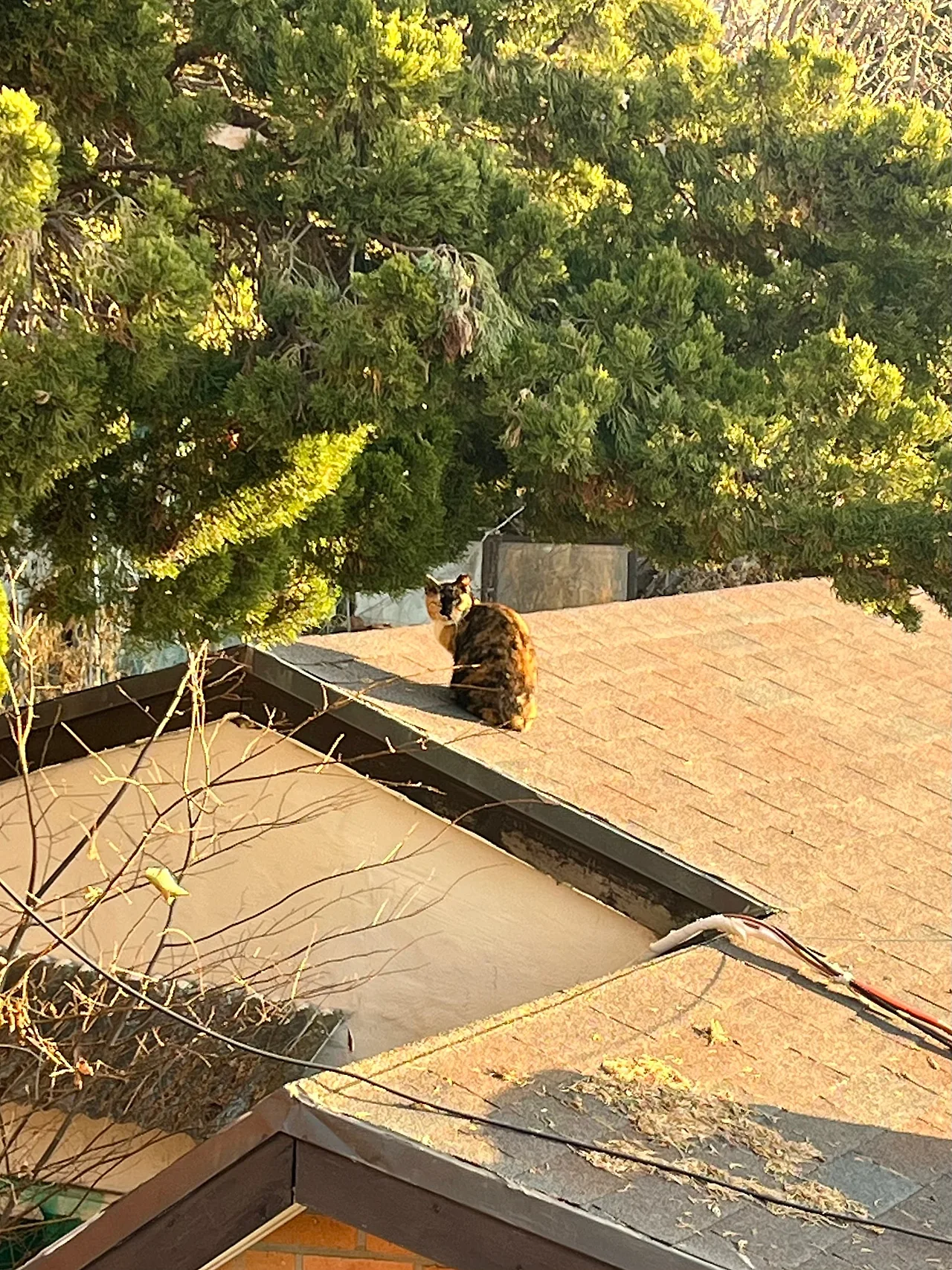 IMG%EF%BC%BF9110.jpg?type=w1600