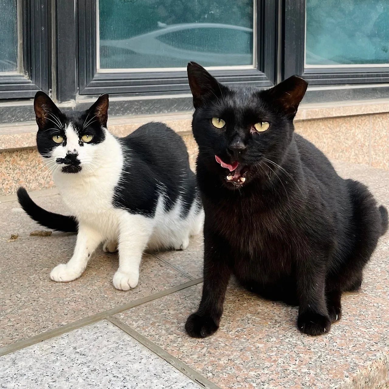 SE-AC8E14E9-F14E-4F6B-B666-8E0223C2F9A4.jpg?type=w1600