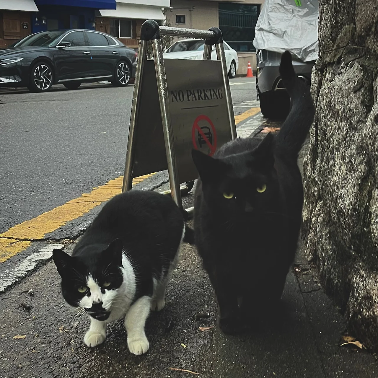 IMG%EF%BC%BF9346.jpg?type=w1600