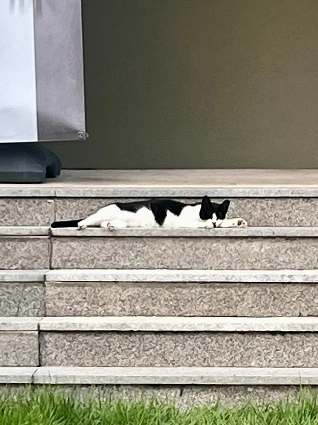 IMG%EF%BC%BF0962.jpg?type=w1600