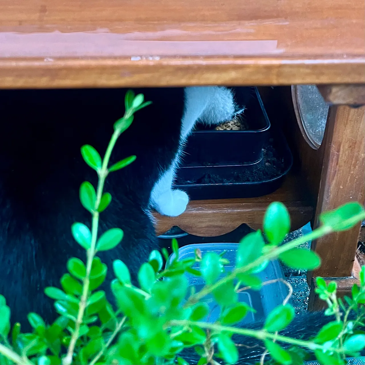 IMG%EF%BC%BF2039.jpg?type=w1600