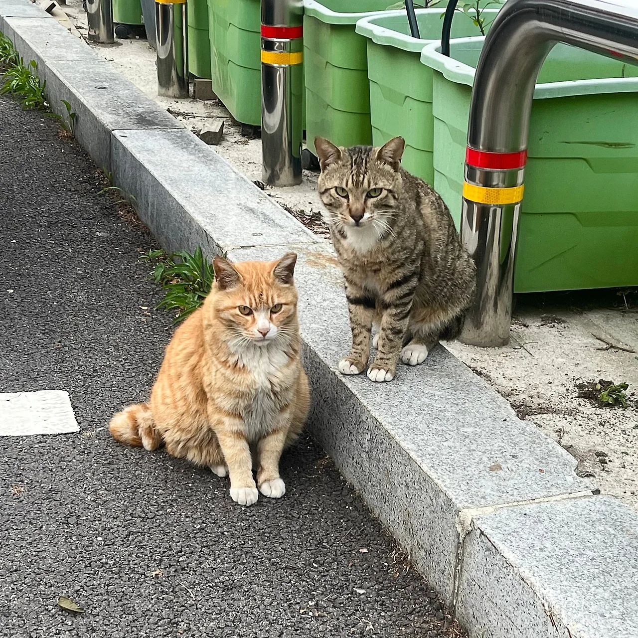 IMG%EF%BC%BF4245.jpg?type=w1600