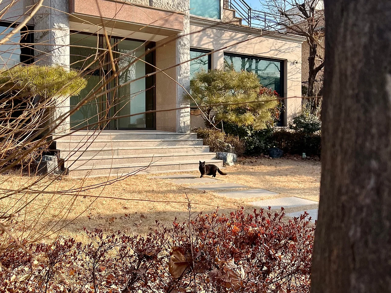 SE-1B87FC9A-5895-497C-BC67-B12FF5A15321.jpg?type=w1600