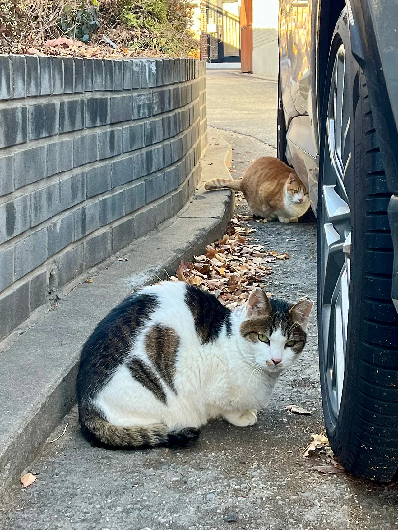 IMG%EF%BC%BF0053.jpg?type=w1600