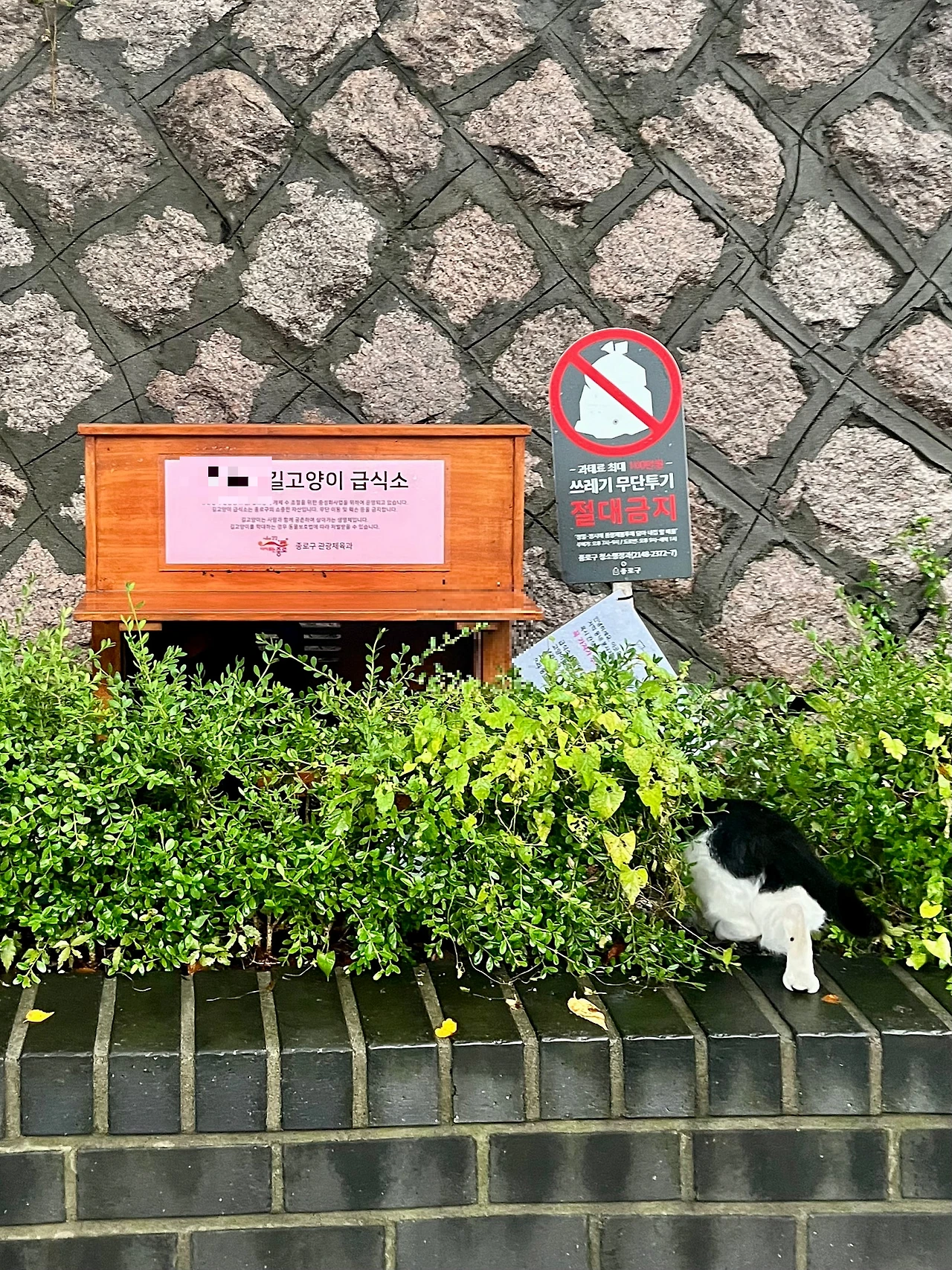 IMG%EF%BC%BF2033.jpg?type=w1600