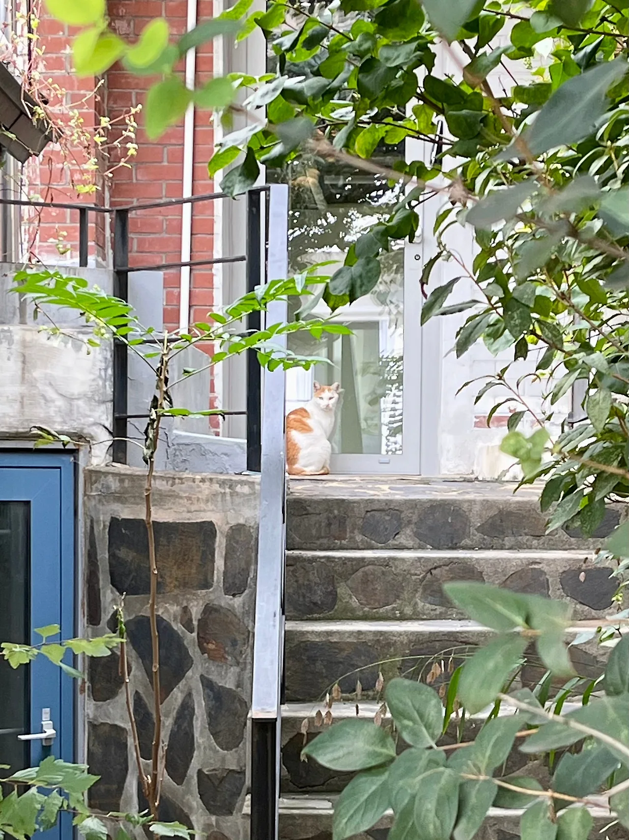 IMG%EF%BC%BF3610.jpg?type=w1600