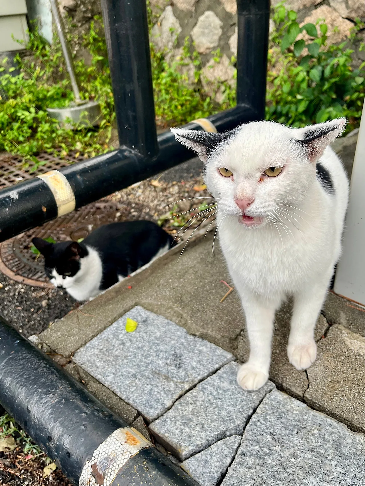 IMG%EF%BC%BF1638.jpg?type=w1600