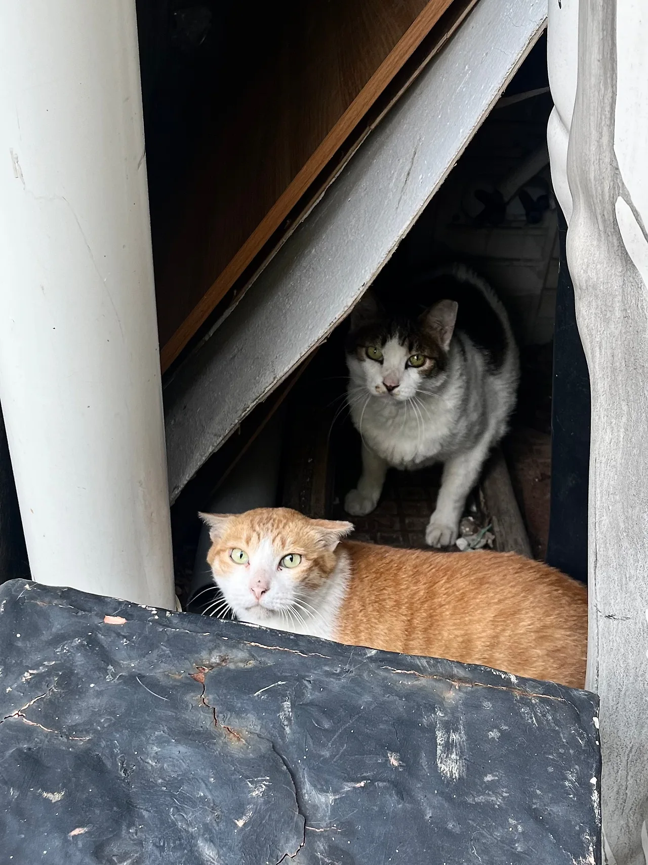 IMG%EF%BC%BF0052.jpg?type=w1600