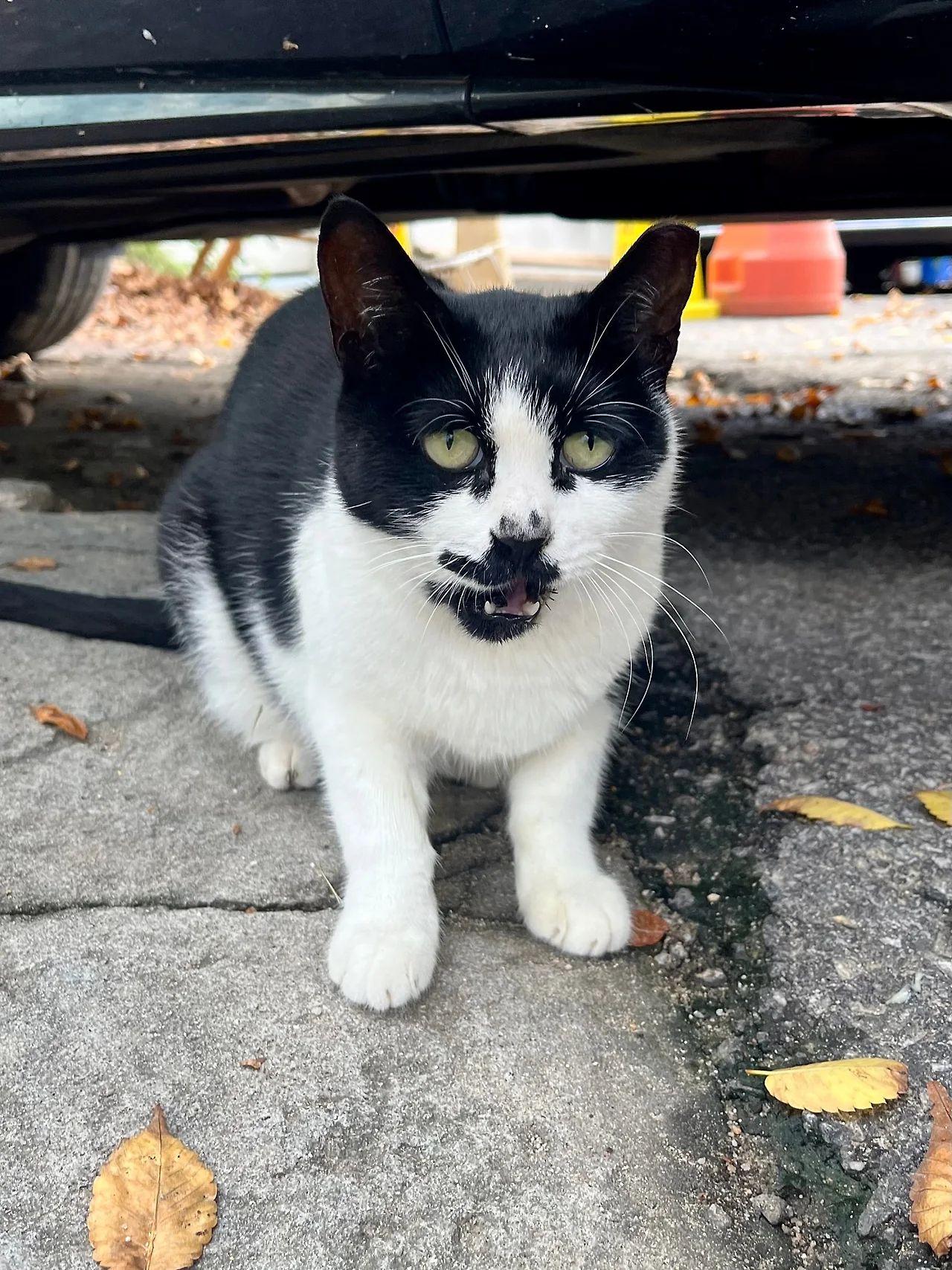 IMG%EF%BC%BF3290.jpg?type=w1600