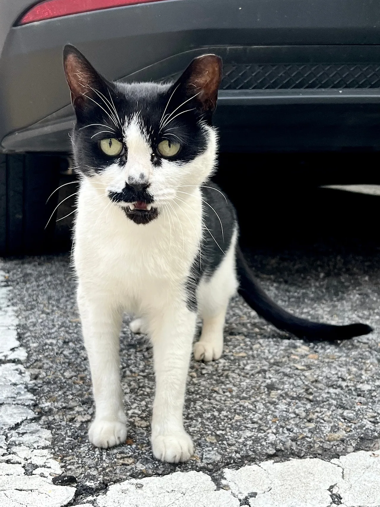 IMG%EF%BC%BF9968.jpg?type=w1600