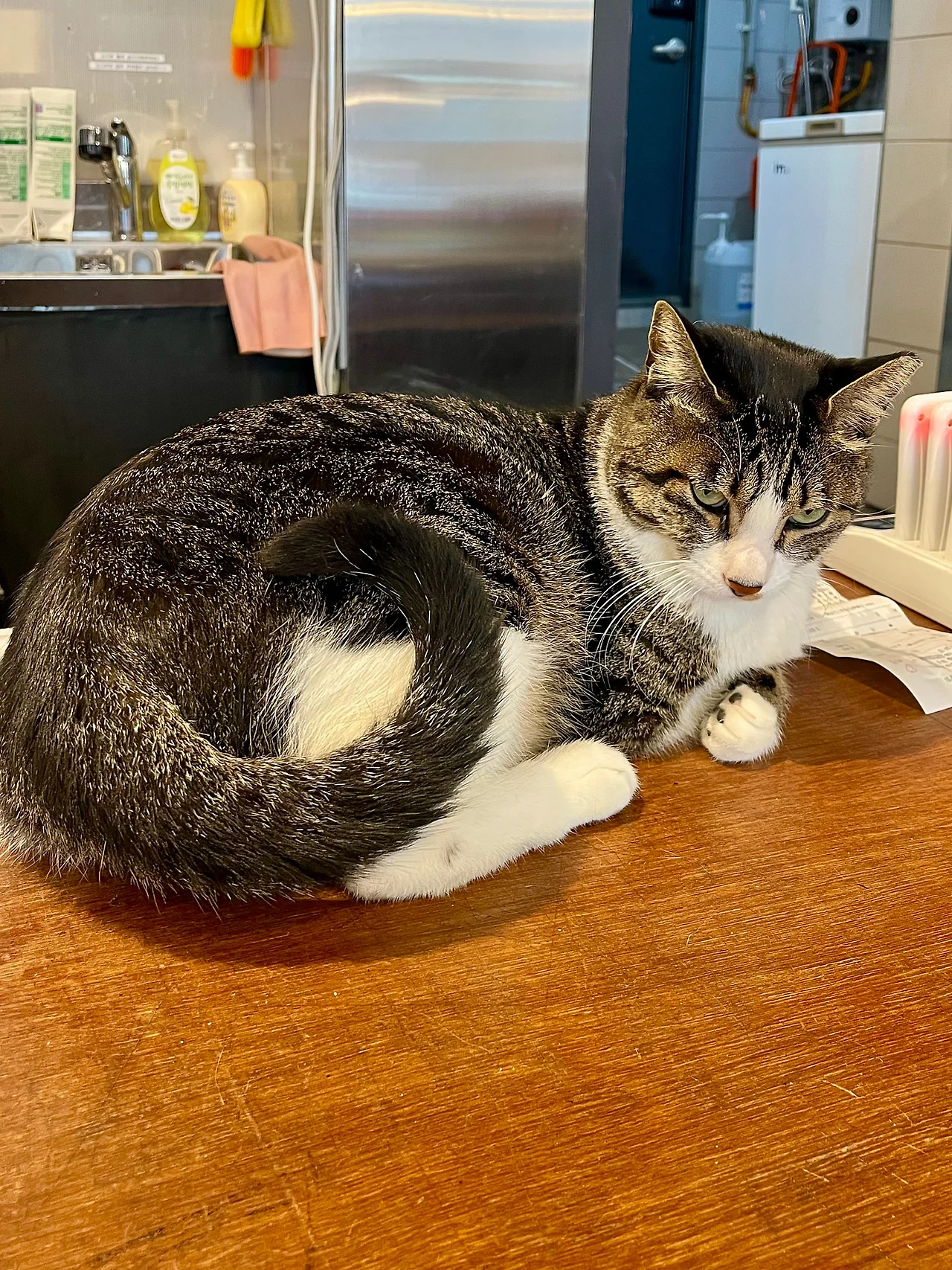 IMG%EF%BC%BF3889.jpg?type=w1600