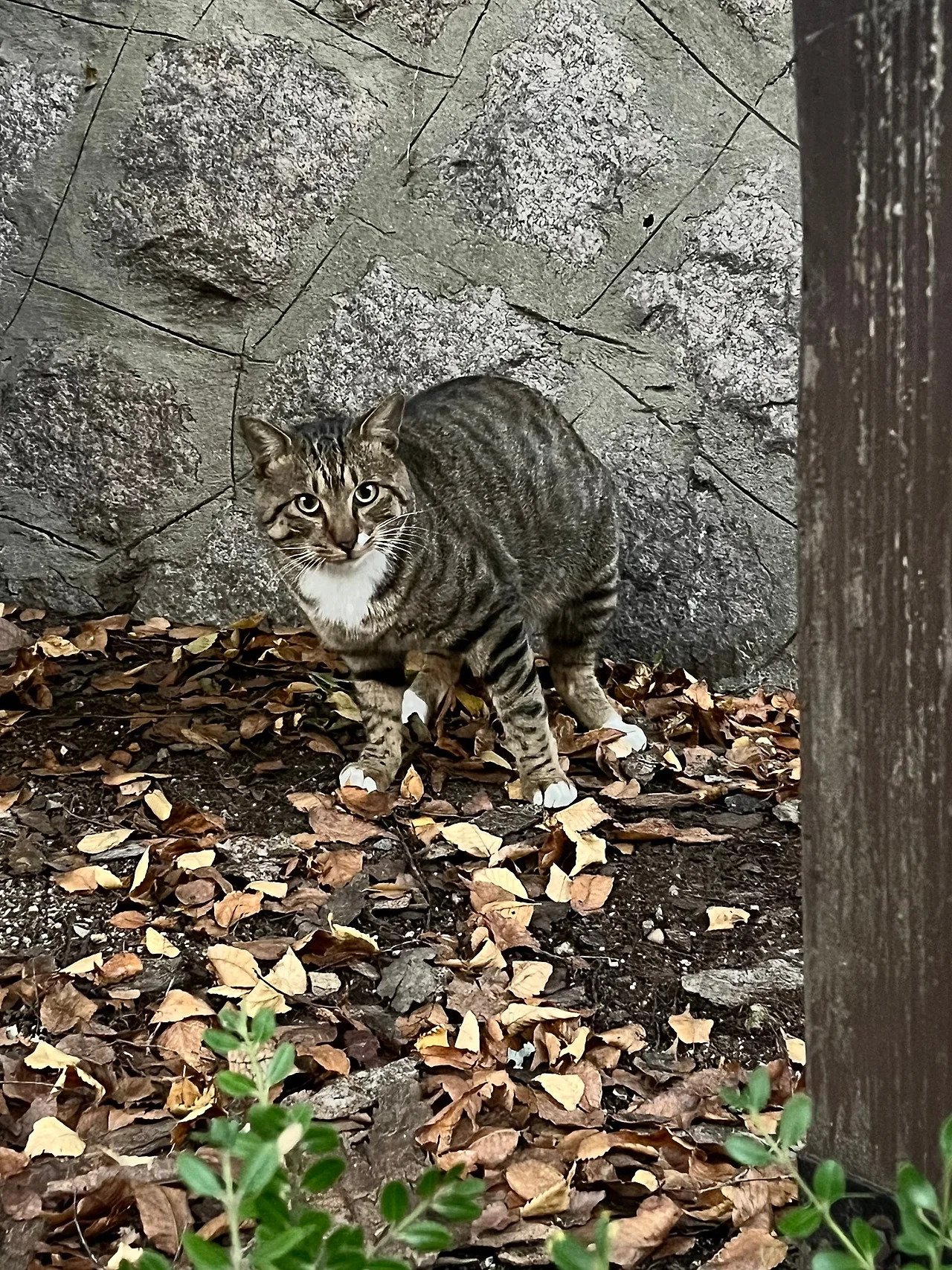 IMG%EF%BC%BF3490.jpg?type=w1600