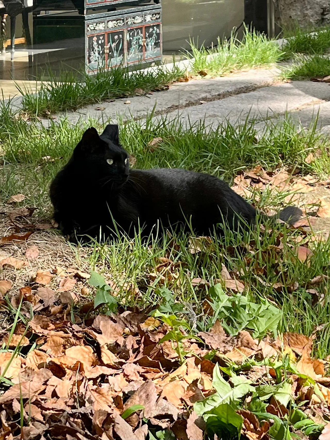 IMG%EF%BC%BF3263.jpg?type=w1600