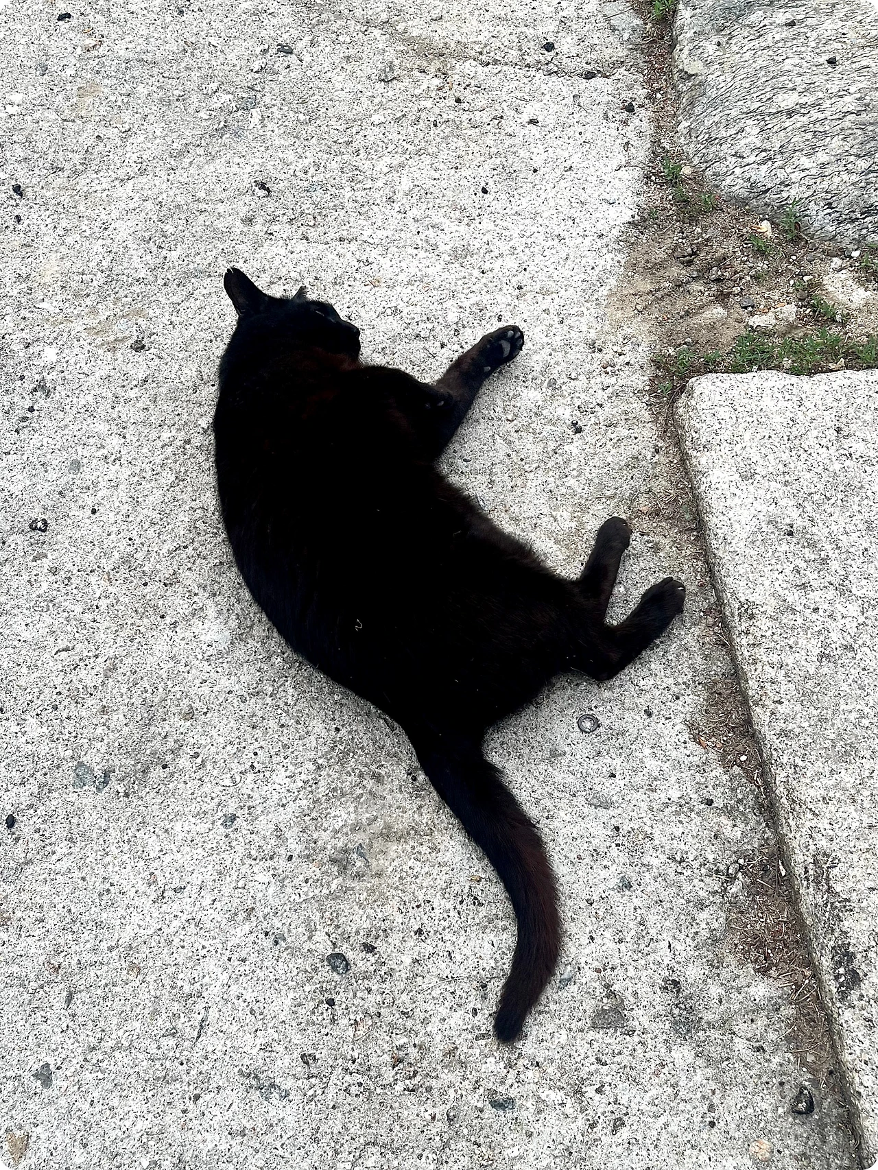 IMG_4576.jpg?type=w1600