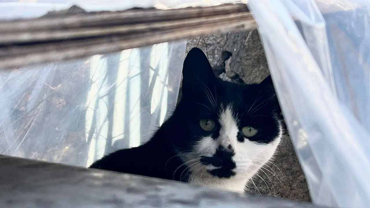 IMG%EF%BC%BF9864.jpg?type=w1600