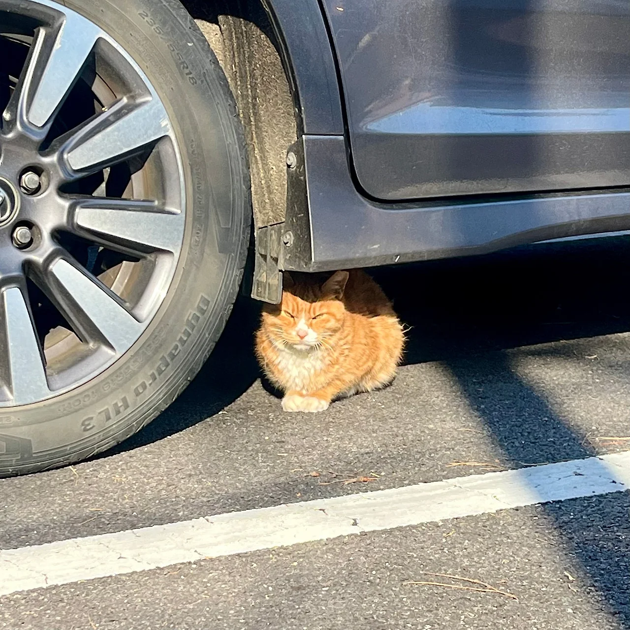 IMG%EF%BC%BF8904.jpg?type=w1600