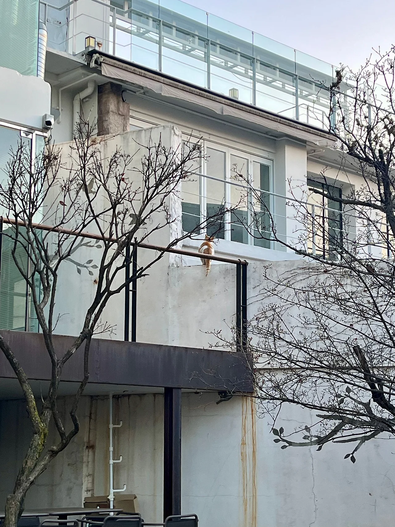 IMG%EF%BC%BF0709.jpg?type=w1600