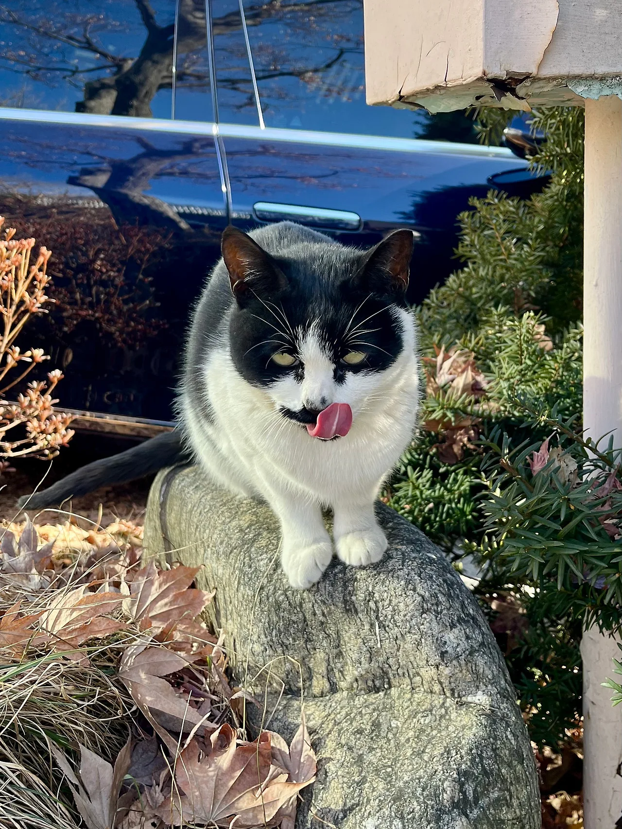 IMG%EF%BC%BF0751.jpg?type=w1600