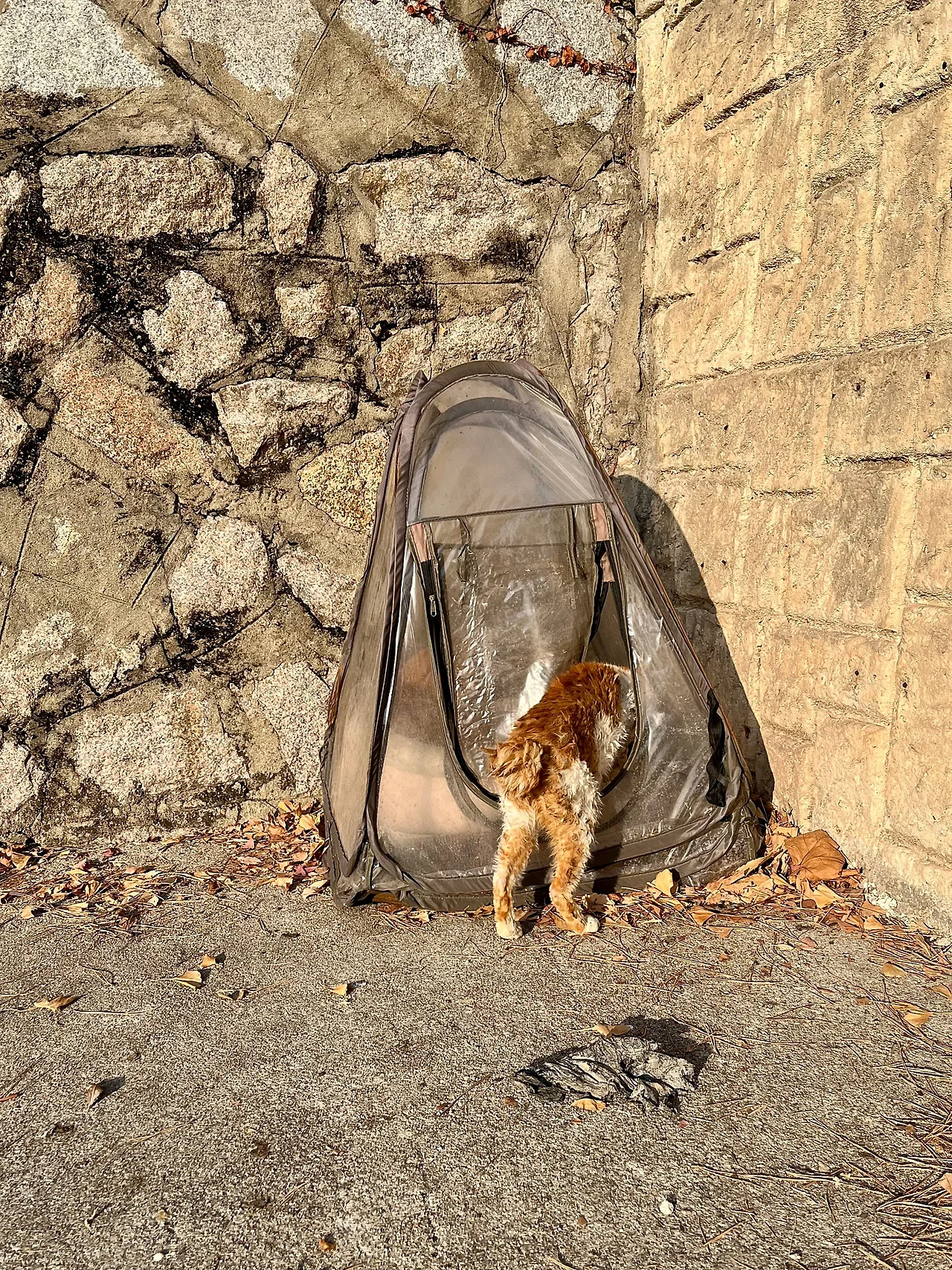 IMG%EF%BC%BF0910.jpg?type=w1600