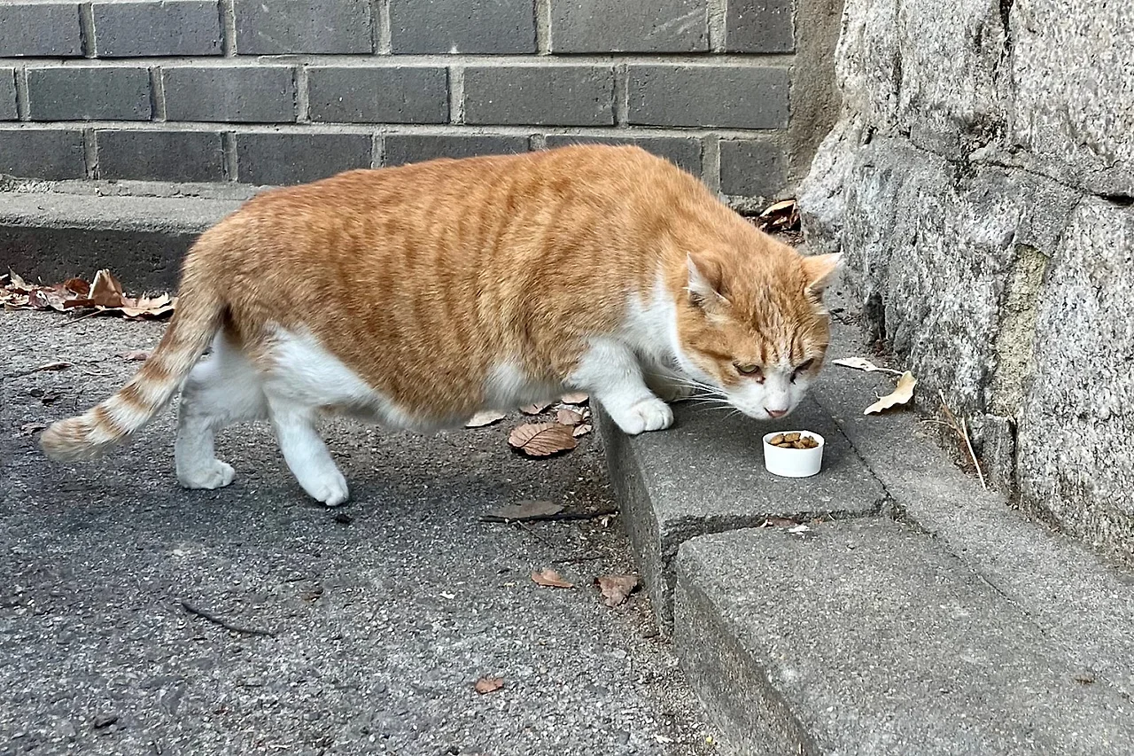 SE-044292D9-8E55-42F4-98F0-B44A0CD6161D.jpg?type=w1600