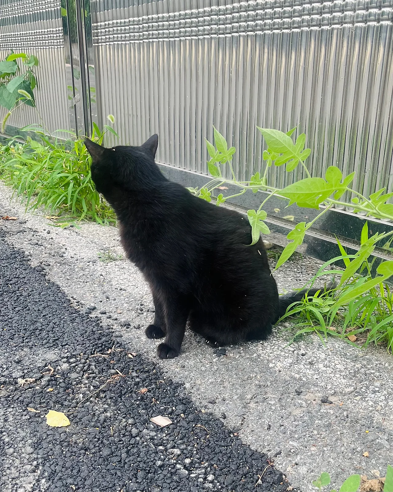 IMG%EF%BC%BF7043.jpg?type=w1600