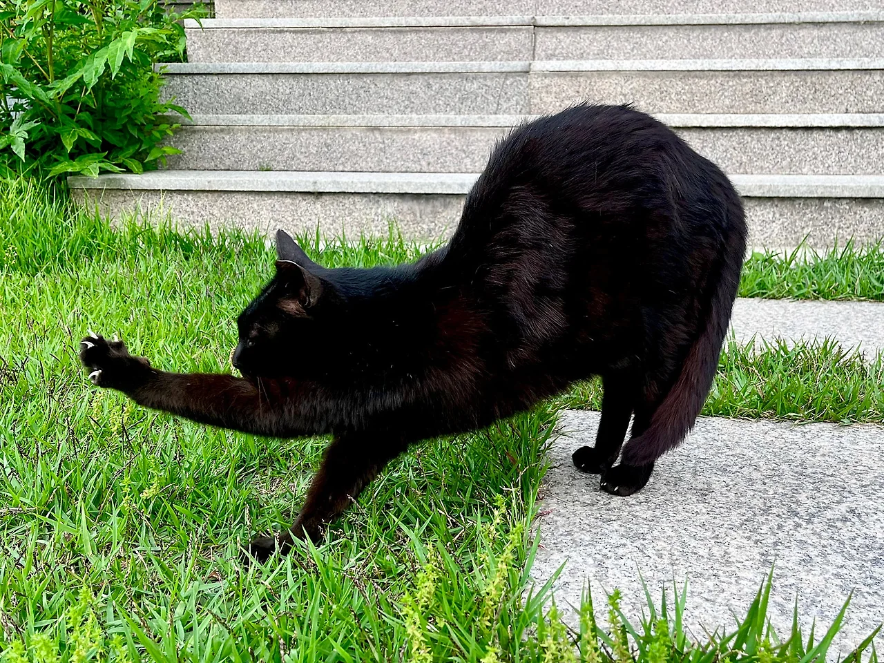 IMG_4748.jpg?type=w1600